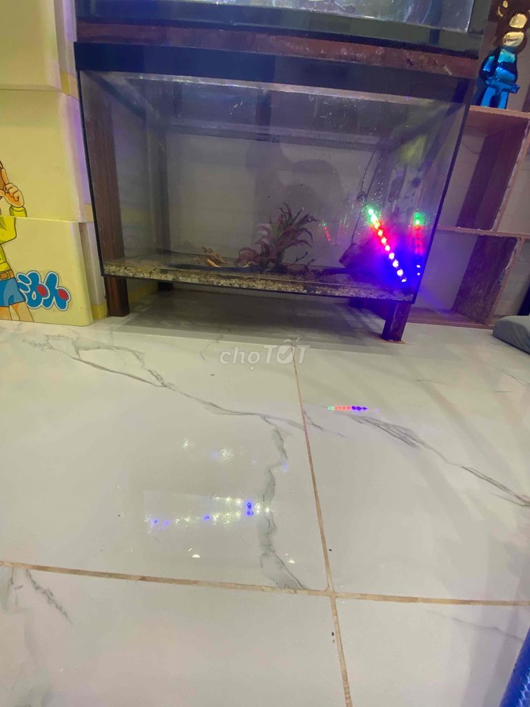 Hồ cá 70x40cm kính 5ly 95% mới. Mua bán Phụ kiện, Thức ăn, Dịch vụ tại Quận Cái Răng Cần Thơ được đăng bởi Tuấn Kiệt  hình 1