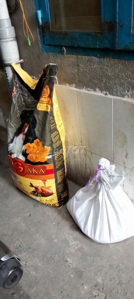 Thức ăn cho chó GAYA Gà xốt gan 4-5kg. Mua bán Phụ kiện, Thức ăn, Dịch vụ tại Quận 10 Tp Hồ Chí Minh được đăng bởi Huong Le hình 1