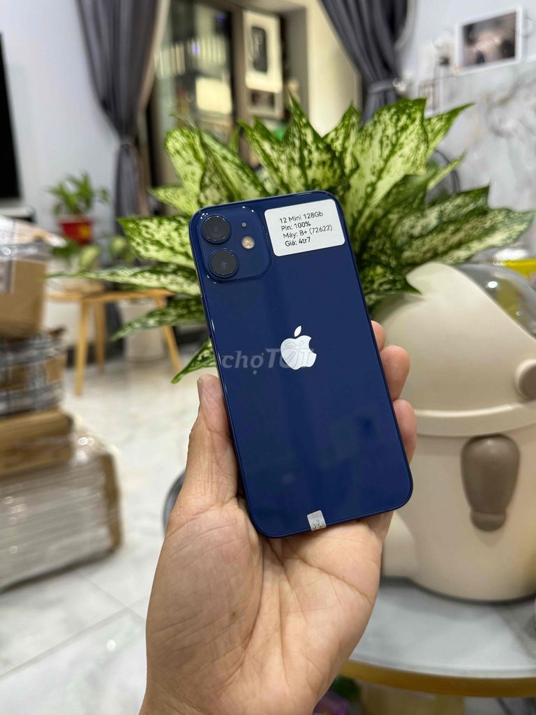 iPhone 12 Mini 128G Quốc tế Blue P100 Đẹp 98,5. Mua bán Điện thoại tại Huyện Hóc Môn Tp Hồ Chí Minh được đăng bởi Nguyễn Thu hình 1