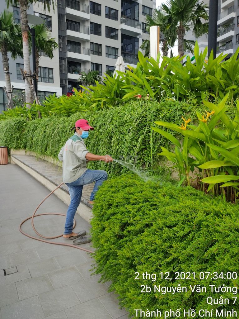 Tuyển dụng và nhân sự chăm sóc cây xanh. Việc làm Công nhân tại Huyện Nhà Bè Tp Hồ Chí Minh được đăng bởi Nguyễn Thanh Lê hình 1