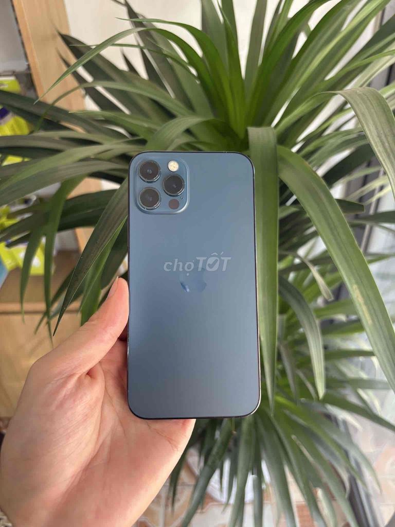 Apple iPhone 12 Pro Xanh. Mua bán Điện thoại tại Huyện Ba Vì Hà Nội được đăng bởi trần văn hình 1