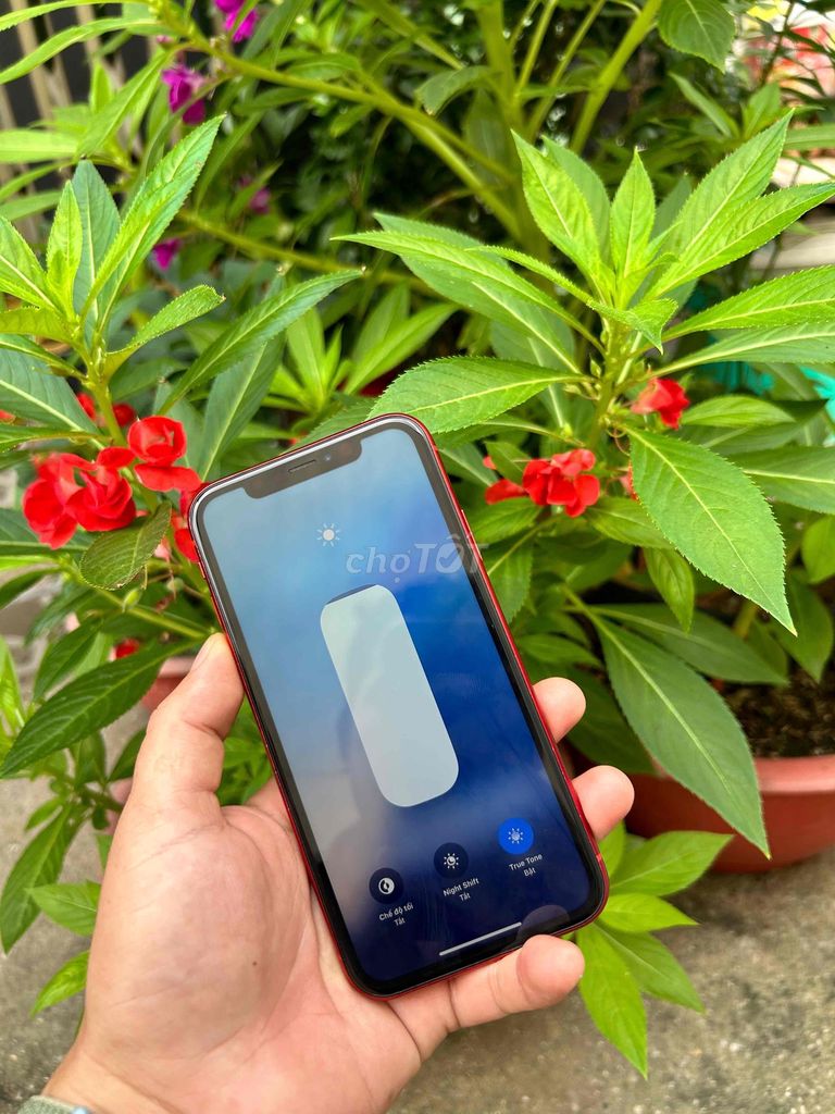 iPhone xr QT hai sim vật lý rin gl