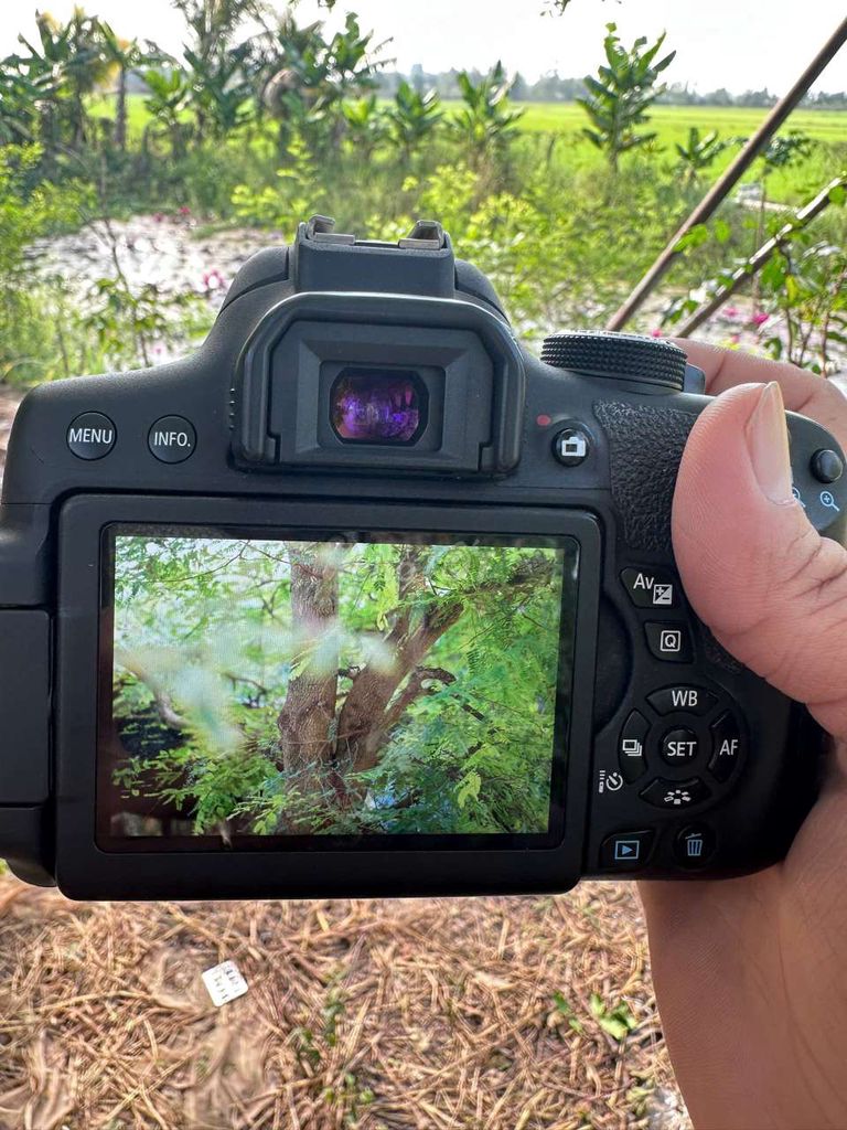 Body Canon 750d ( Kis X8i ). Mua bán Máy ảnh, Máy quay tại Thành phố Long Xuyên An Giang được đăng bởi Vạn hình 1