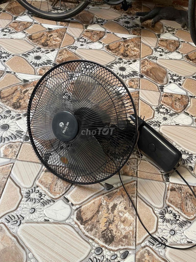 Quạt điện Phong Lan màu Đen. Mua bán Quạt tại Quận Ngô Quyền Hải Phòng được đăng bởi Hùng Pham Thanh hình 1