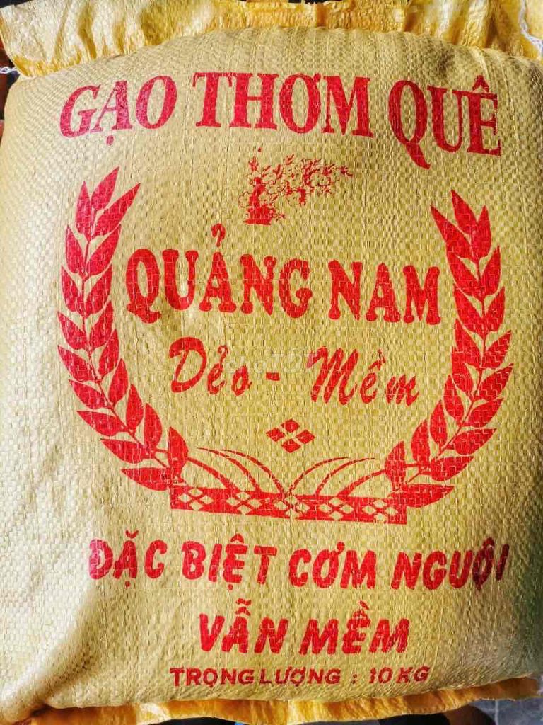 GẠO THƠM QUÊ QUẢNG NAM