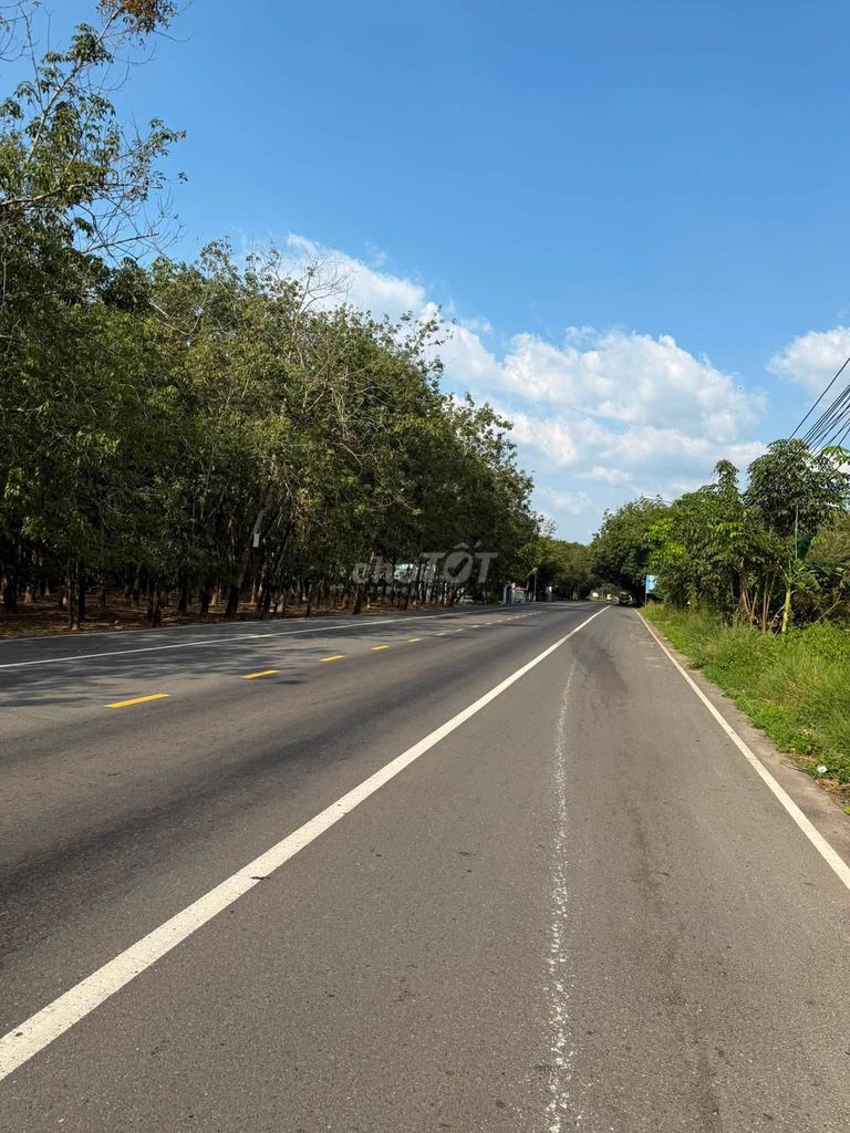 Bán đất 1ha Phường Chánh Phú Hòa, Bến Cát, Bình Dương