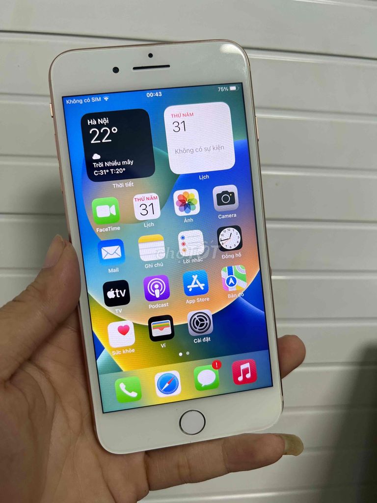 8plus 64g quốc tế máy đẹp