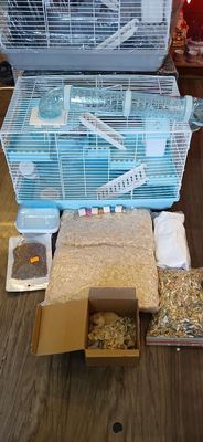 Combo đầy đủ nuôi chuột Hamsters VIP I. Mua bán Phụ kiện, Thức ăn, Dịch vụ tại Quận Bình Tân Tp Hồ Chí Minh được đăng bởi An Nguyen