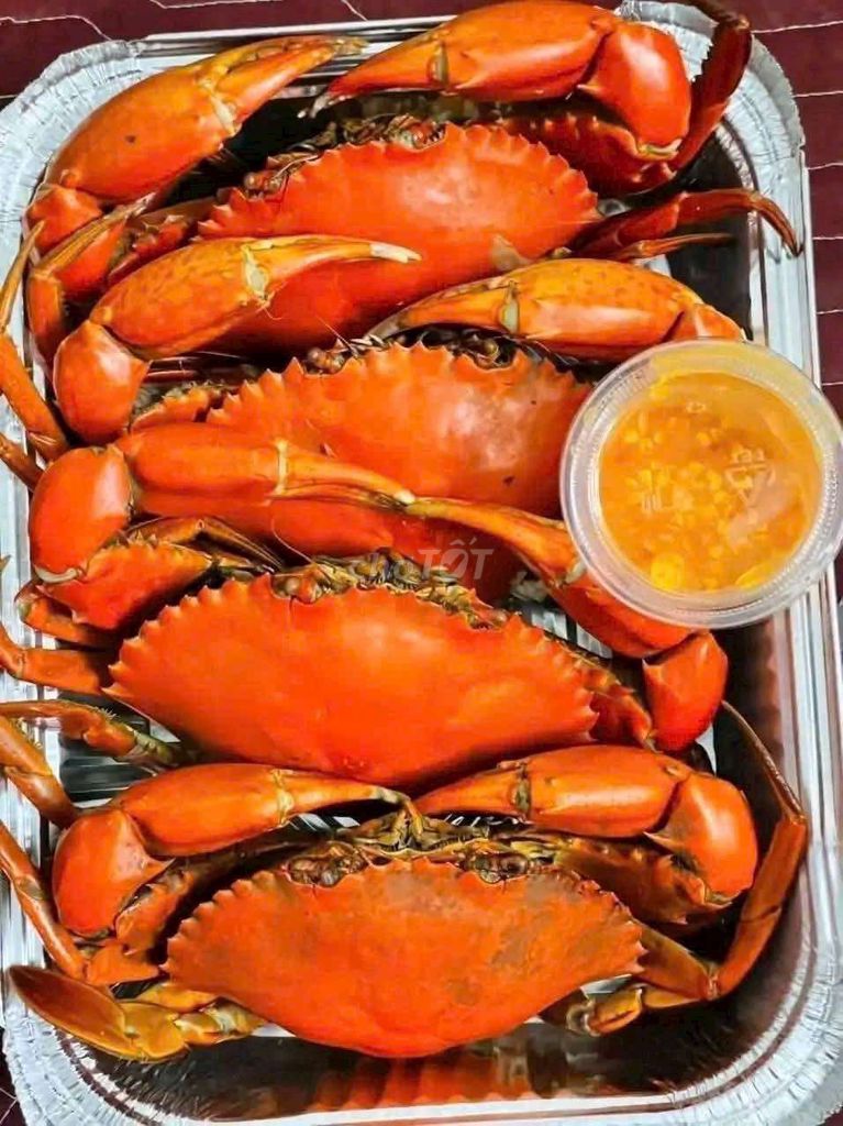 Cua thịt Cà Mau 2-4 con/kg. Mua bán Đồ ăn, thực phẩm và các loại khác tại Quận 8 Tp Hồ Chí Minh được đăng bởi Hiếu hình 1