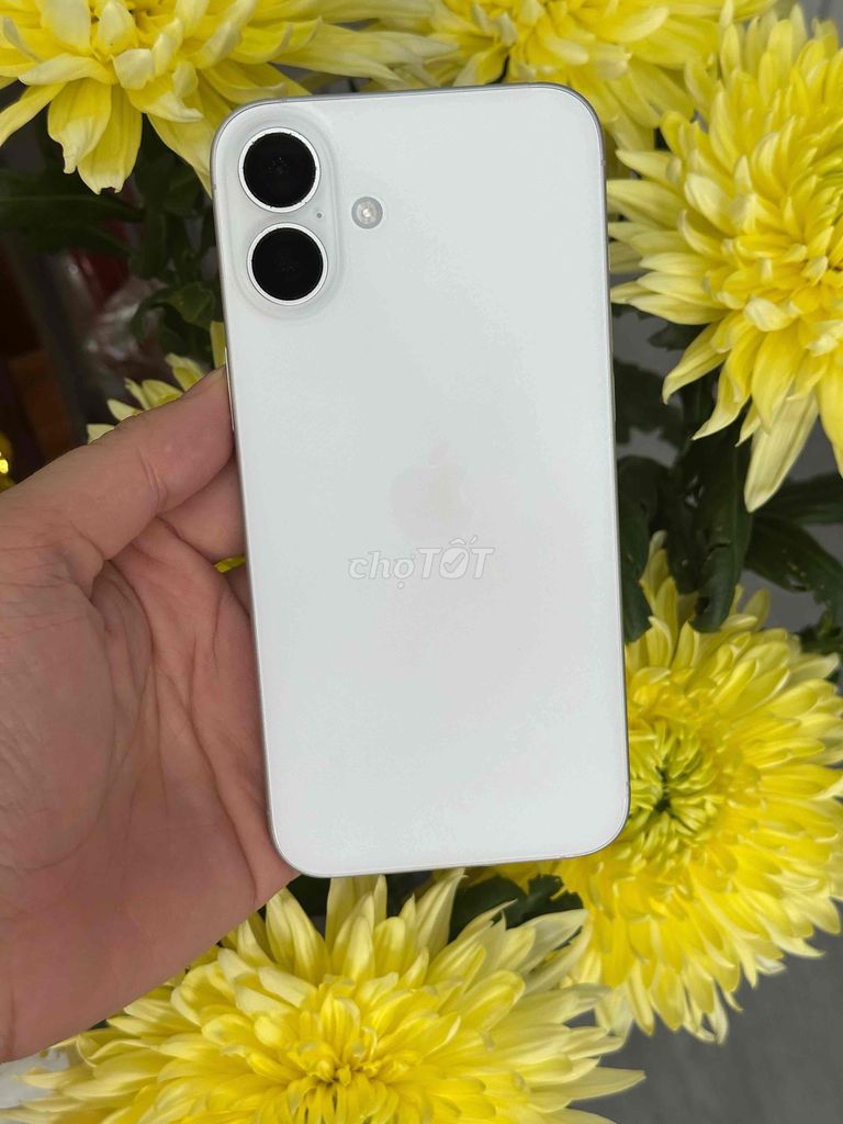 16 Plus 128GB Trắng VN Pin 95 Bh 5/2026 Imei 83839. Mua bán Điện thoại tại Quận Ninh Kiều Cần Thơ được đăng bởi Quý Mobile Cần thơ hình 1