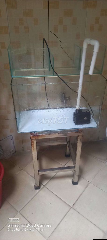 Bể cá cảnh Kính Inox 30x40x50cm Lọc tràn. Mua bán Phụ kiện, Thức ăn, Dịch vụ tại Thành phố Thủ Đức Tp Hồ Chí Minh được đăng bởi PHUONG hình 1