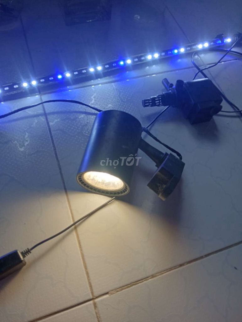 Đèn LED trang trí Đa màu sắc. Mua bán Đèn tại Thành phố Thủ Đức Tp Hồ Chí Minh được đăng bởi PHONG TRUNG PHUONG hình 1