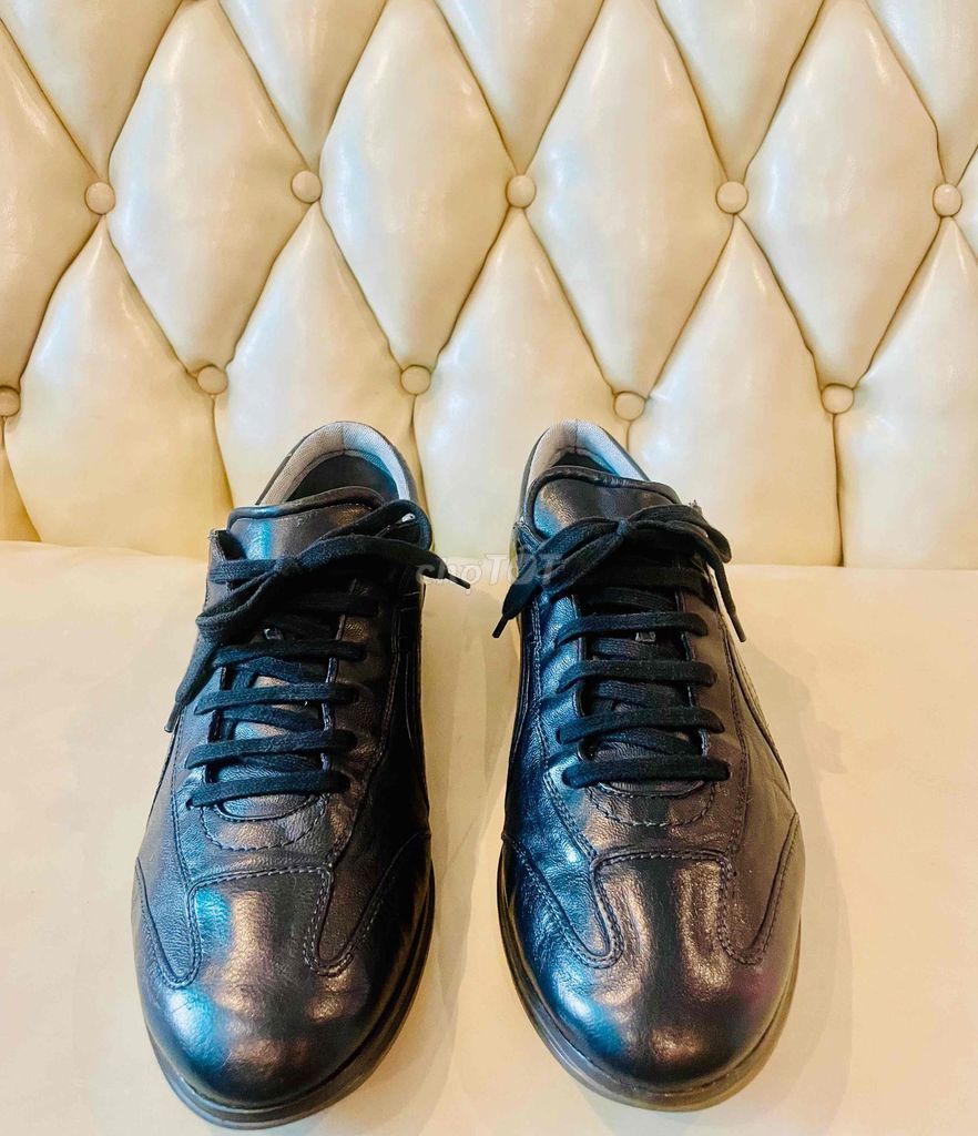 Giày Sneaker Salvatore Ferragamo Size 42 Real. Mua bán Giày dép tại Quận 8 Tp Hồ Chí Minh được đăng bởi Chí Cừơng hình 1