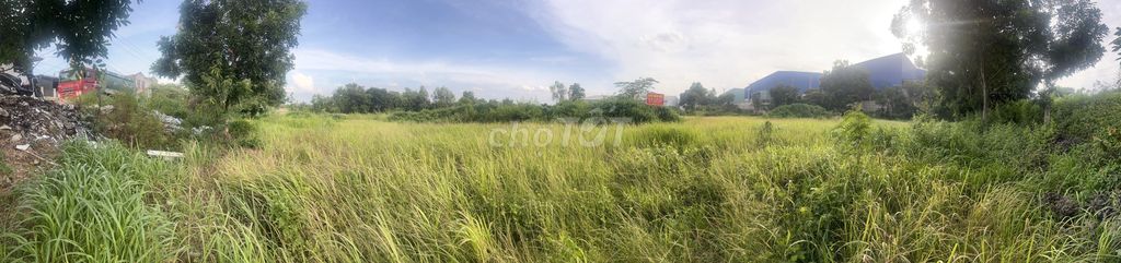 Chính Chủ Bán 10.000 m² Đất Tân Uyên (1.200m Thổ Cư) Giá tốt