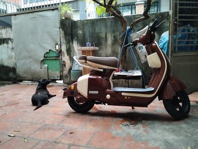 Xe máy điện Dylexe X1 Đỏ đô