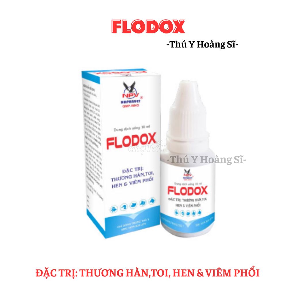 Flodox XỬ LÍ THƯƠNG HÀN,TOI, HEN & VIÊM PHỔI