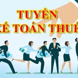 Tuyển Kế Toán Thuế Đi Làm Ngay