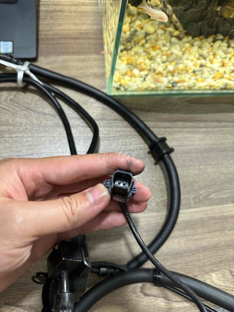 BỘ ABS 2 KÊNH THÁO XE HONDA CBR NHƯ MỚI. Mua bán Phụ tùng xe tại Thành phố Thủ Đức Tp Hồ Chí Minh được đăng bởi Đặng đình chung hình 6