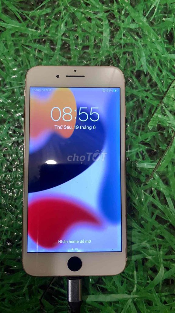 Apple iPhone 7 Plus Vàng hồng Retina. Mua bán Điện thoại tại Quận Hà Đông Hà Nội được đăng bởi NhaPhanPhoiChinhThuong hình 1