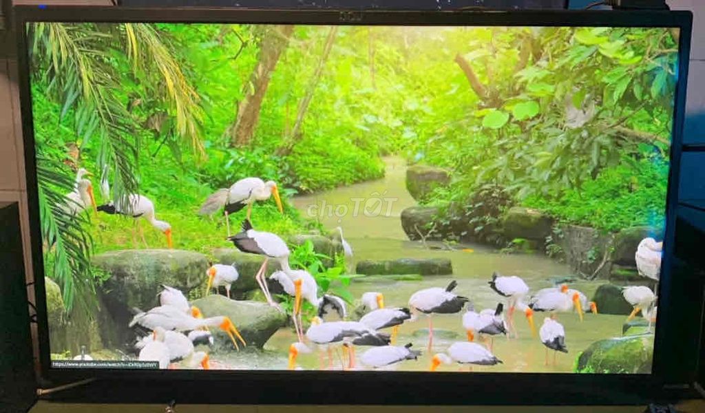 Màn hình PC 32 icnh đẹp. Mua bán Phụ kiện (Màn hình, Chuột...) tại Quận Ngô Quyền Hải Phòng được đăng bởi Nguyen Lam hình 5