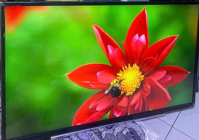 Smart TV 43in Tosiba wifi internet đẹp nguyên rin. Mua bán Tivi, Âm thanh tại Thành phố Thủ Đức Tp Hồ Chí Minh được đăng bởi vỹ