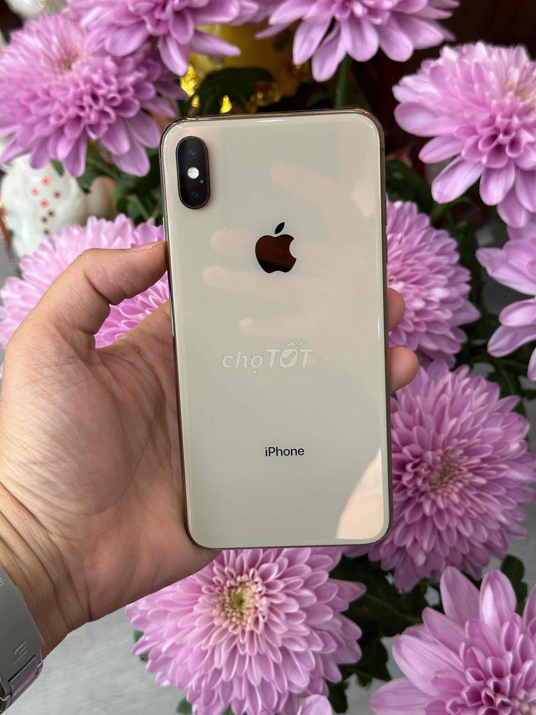Xs Max 64GB Gold Pin new 100 Bản Qte 2 sim vật lí. Mua bán Điện thoại tại Quận Ninh Kiều Cần Thơ được đăng bởi Quý Mobile Cần thơ hình 1