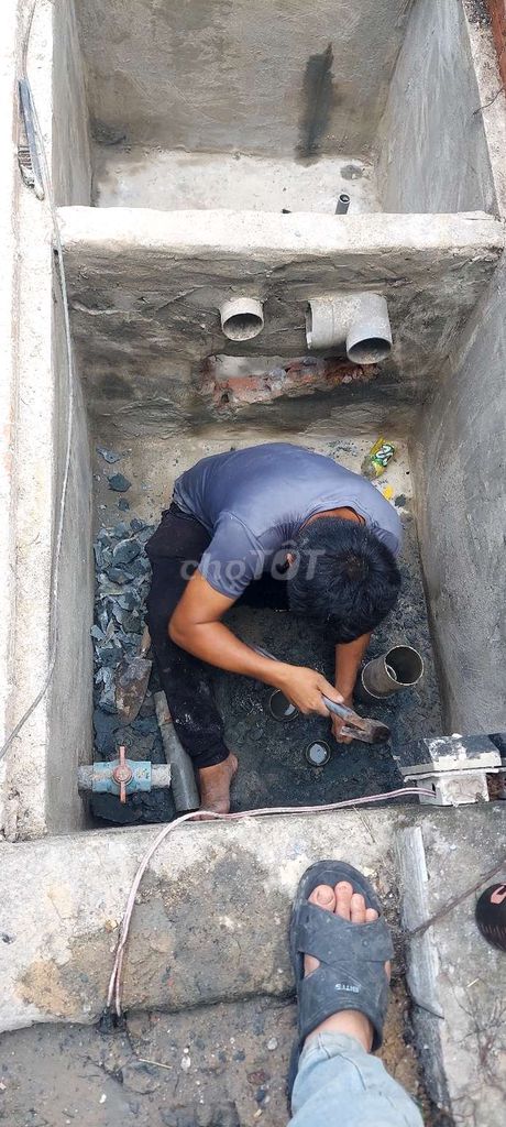 Nhóm mình nhận thi công hồ cá koi