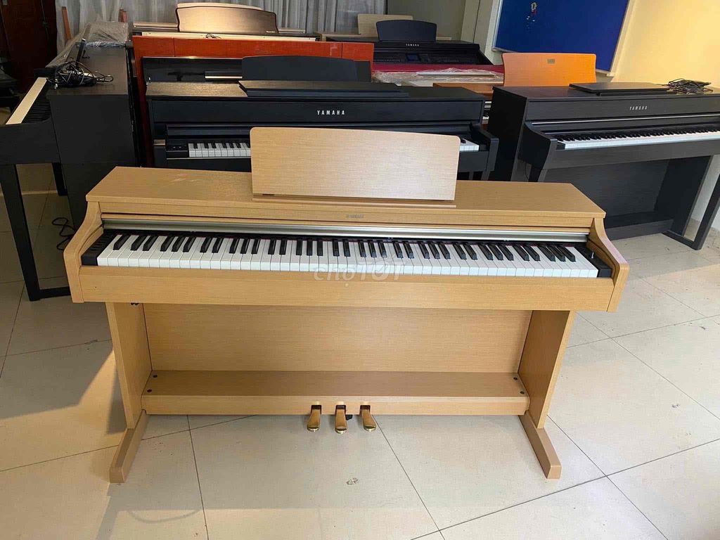 Piano Điện Yamaha YDP162