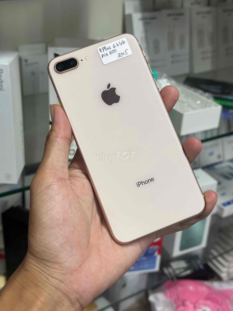 iPhone 8 Plus 64GB Qtế -Rose - Main zin Màn zin -. Mua bán Điện thoại tại Quận Ninh Kiều Cần Thơ được đăng bởi NP Store hình 1